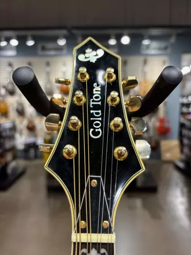 Gold Tone Rigel Mandolin 2