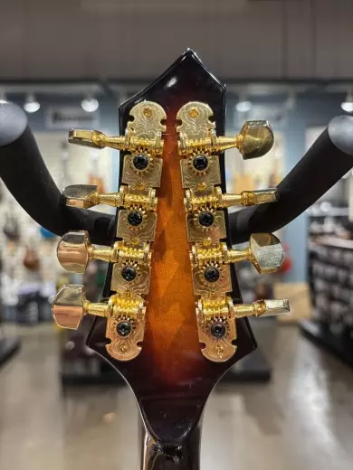 Gold Tone Rigel Mandolin 2