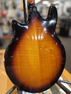 Gold Tone Rigel Mandolin 2