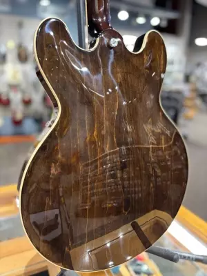 Epiphone - ESECA00VBNH 2