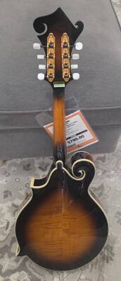 Gold Tone GM-70+ Solid Wood F-Style Mandolin With Case