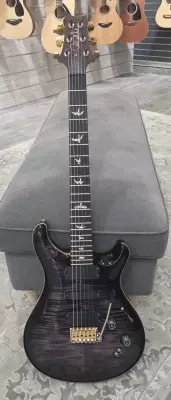PRS 509 Purple Iris 2
