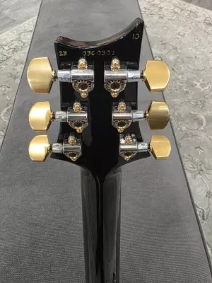 PRS 509 Purple Iris 2