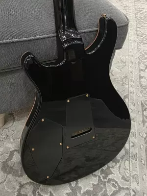 PRS 509 Purple Iris 2
