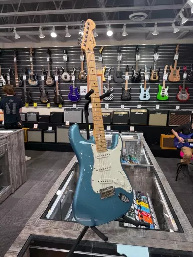 Fender Player Strat MN TPL