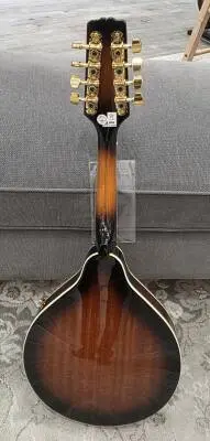 Epiphone - MM-30ASGH 2