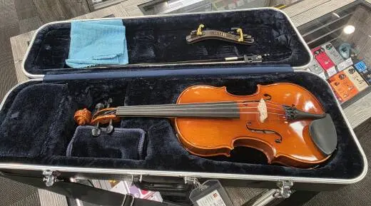 Eastman Strings - VA100ST 15