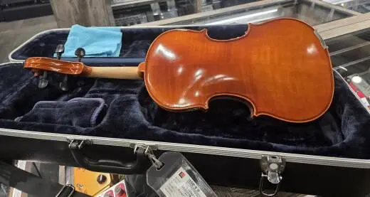 Eastman Strings - VA100ST 15