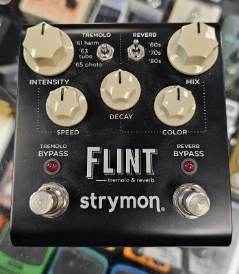 Strymon - FLINT V1