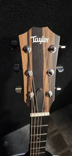 Taylor Guitars - 214CE 2