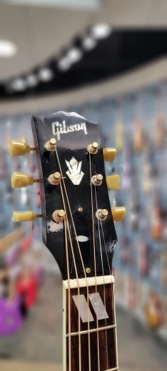 Gibson - AC8V19VSNH 3