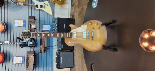 Store Special Product - Gibson - LPTR00SHNH