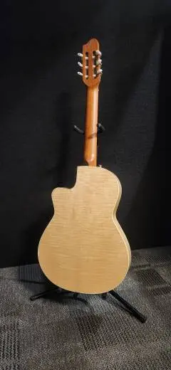 Godin Guitars - G51212 2
