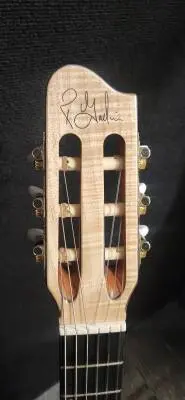 Godin Guitars - G51212 2