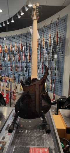 Epiphone - TBD5VSBH 2