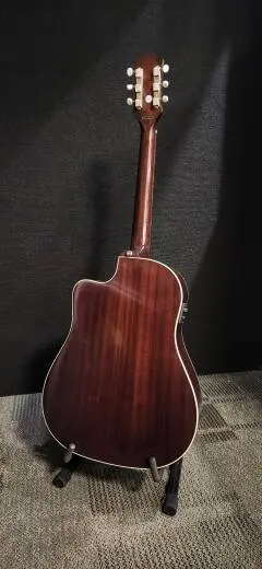 Epiphone - IGMTJ45CVSNH 2