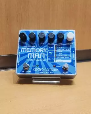 Electro-Harmonix - MEMORYMAN/HAZAR