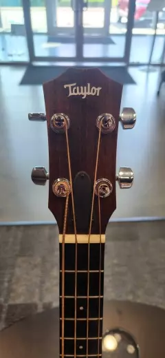 Taylor Guitars - GS MINI-E MBSV1 2