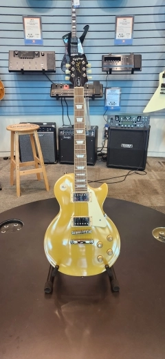 Epiphone - EILS5MGNH