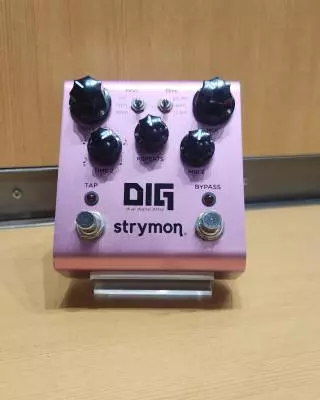 Strymon - DIG V1