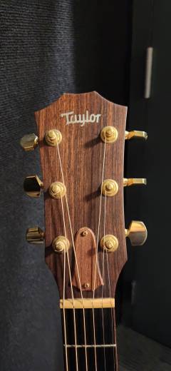 Taylor Guitars - 514CE 2