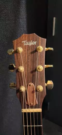 Taylor Guitars - 514CE 2