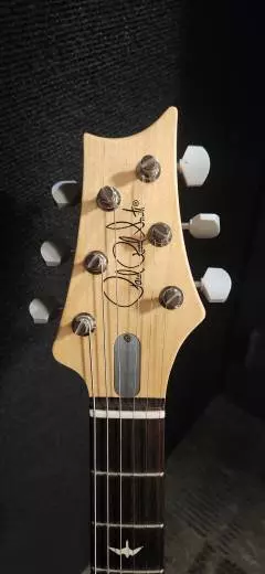 PRS Guitars - 106014::31:13W 2