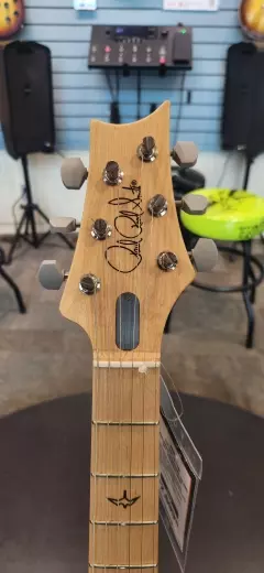 PRS Guitars - 107150::J9:13W 2