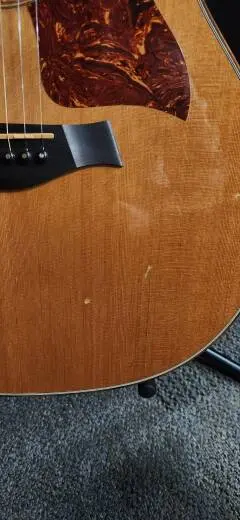 Taylor Guitars - 514CE 2