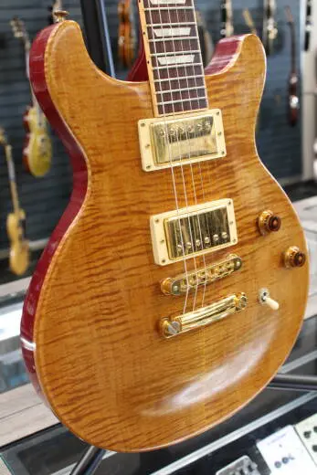 Gibson Les Paul Standard Double Cut 2