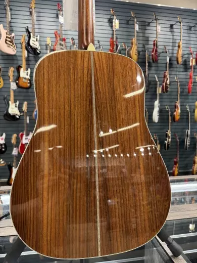 Eastman E20D Dreadnought 5