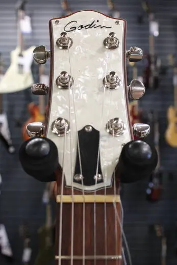 Godin Guitars - Radiator Electric Guitar with Gig Bag - Bourbon Burst 2