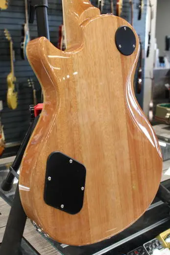 PRS Guitars - SE McCarty 594 Singlecut Electric Guitar with Gigbag - Turquoise 2