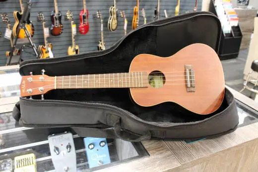 Kala - Kala Mahogany Concert Ukulele 2