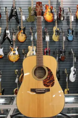 Takamine - FT340 BS Acoustic Guitar