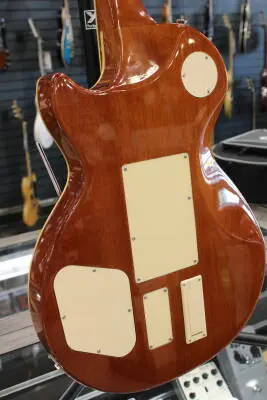 Epiphone - Alex Lifeson Les Paul Axcess Standard w/Case - Viceroy Brown 2