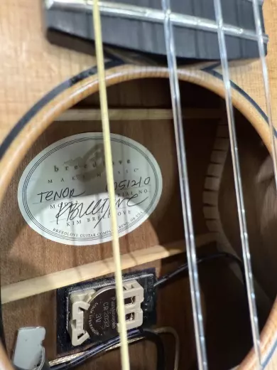 Breedlove USA Tenor ukulele 2