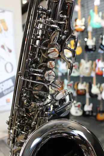 Cannonball Gerald Albright Signature Series A5 Alto Saxophone - Silver Black Nickel 2