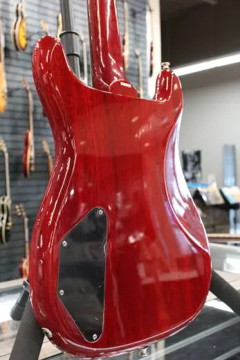 Epiphone - Newport Bass - Cherry 2