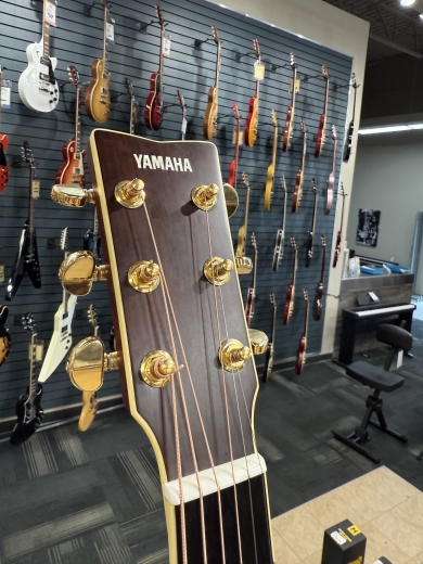 Store Special Product - Yamaha - LL16ARE DT