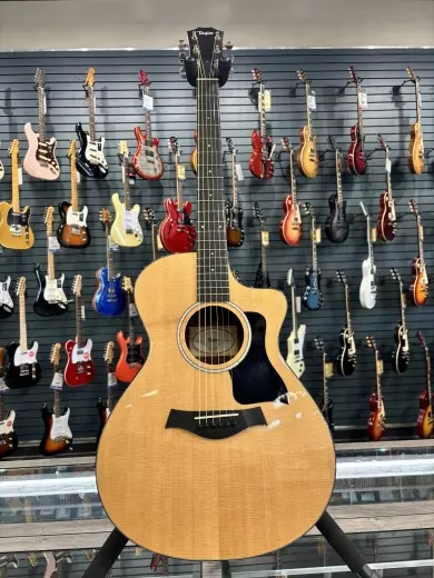 Taylor Guitars - 212ce Plus Grand Concert Rosewood/Spruce Acoustic/Electric Guitar with Aerocase