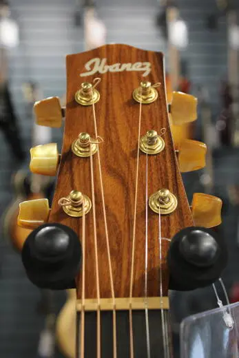 Ibanez - Ibanez Acoustic Exotic Cocobolo Cutaway w/ Electronics 2