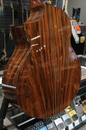 Ibanez - Ibanez Acoustic Exotic Cocobolo Cutaway w/ Electronics 2