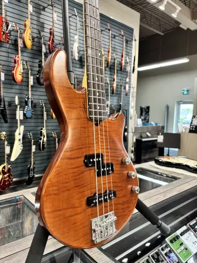 Godin - Freeway 4 Bass Nat 2