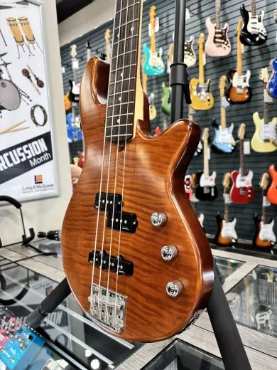 Godin - Freeway 4 Bass Nat 3