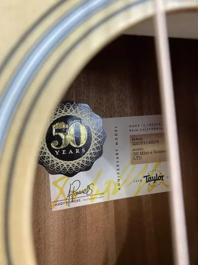 Taylor Guitars - GS MINI-E NAT 2