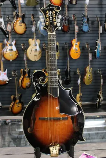 Gold Tone - GM-70+ Solid Wood F-Style Mandolin with Case 2