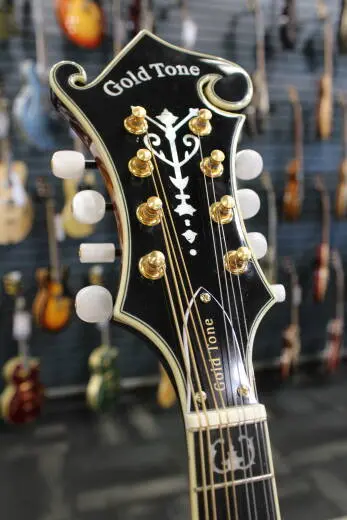 Gold Tone - GM-70+ Solid Wood F-Style Mandolin with Case 2