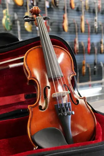 Eastman Strings - Violin Outfit 1/16 Size 2