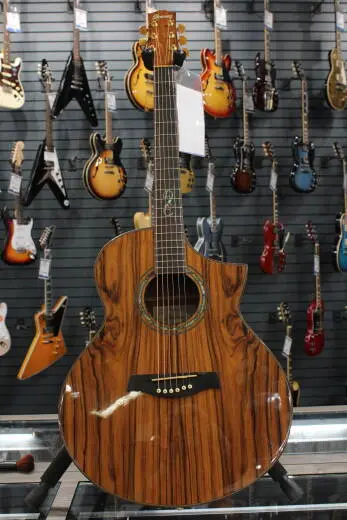 Ibanez - Ibanez Acoustic Exotic Cocobolo Cutaway w/ Electronics
